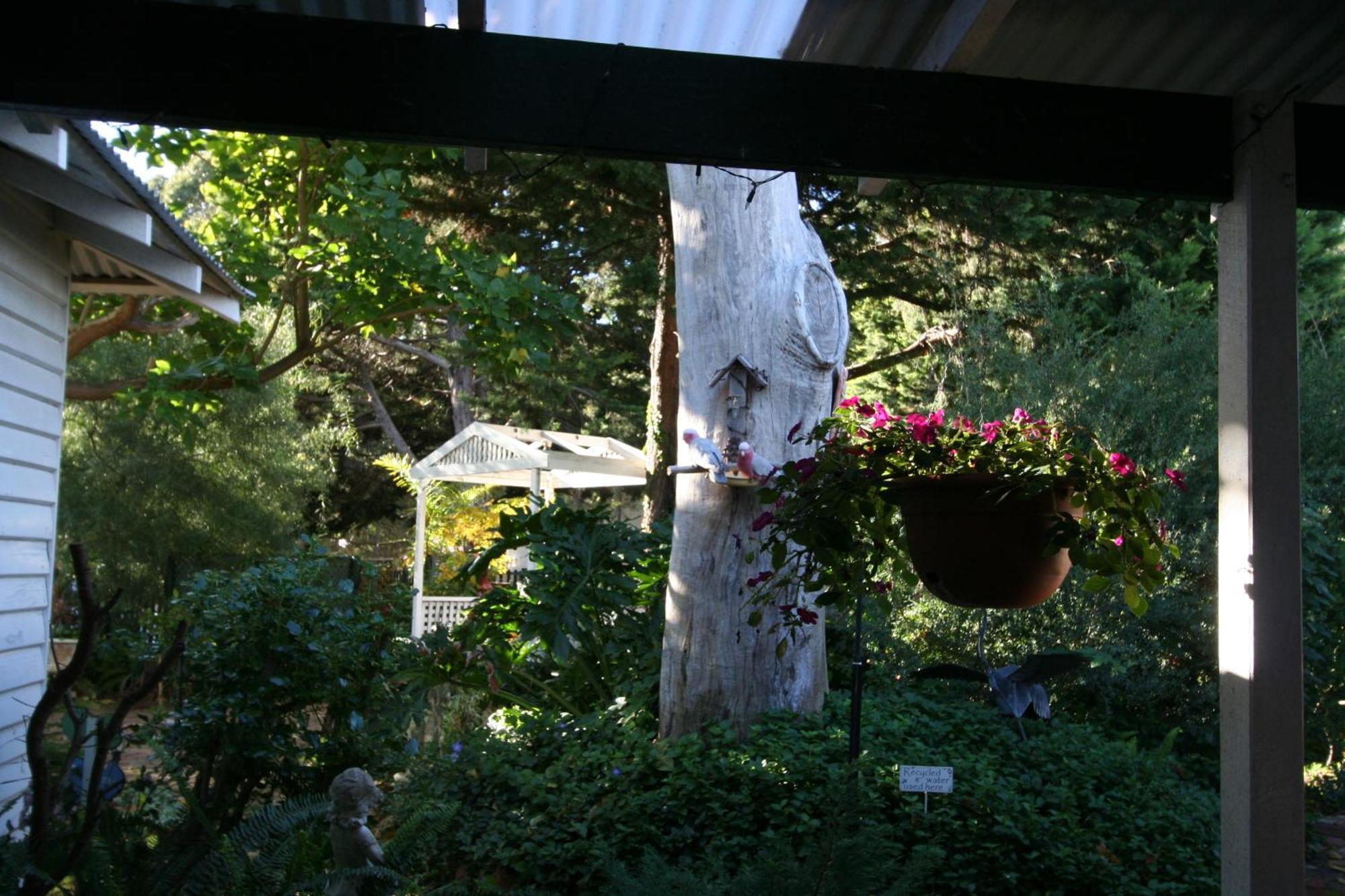 Rosebridge House Bed & Breakfast Adult Retreat Gooseberry Hill Exteriör bild