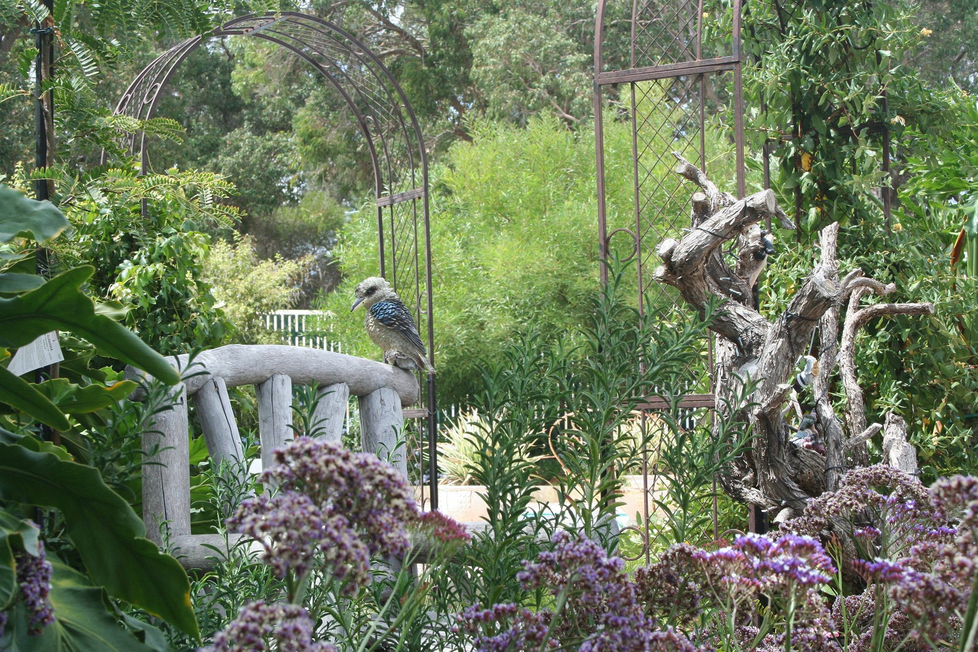 Rosebridge House Bed & Breakfast Adult Retreat Gooseberry Hill Exteriör bild